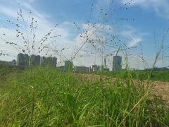 -光明小镇欢乐田园