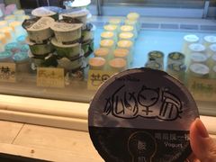 -狐狸家·酸奶酪专门店(平江路店)