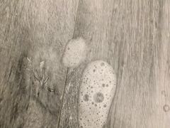 -北京观赏动物医院·24小时大型综合·猫专科·异宠专科