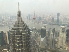 -上海柏悦酒店·世纪100牛排馆