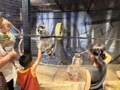 -酷嗒动物文化乐园(cutezoo西溪乐天城店)