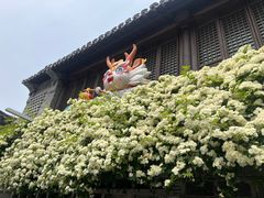 -夫子庙秦淮风光带