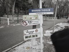 -长白岛森林公园