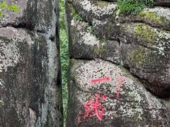 -汤旺河林海奇石景区