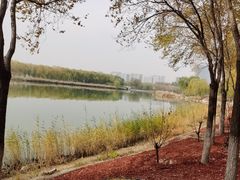 -大兴滨河森林公园