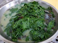 枸杞苗-蚝专家(北滘店)