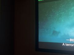 -金色印象·4K影院式足体养生(南坪桃源店)