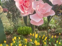 -四里河滨水生态公园