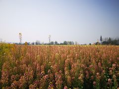 -中国天府农业博览园