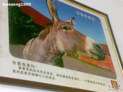 -王胖子驴肉火烧(鼓楼店)