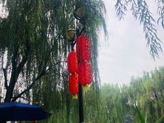 -温江公园