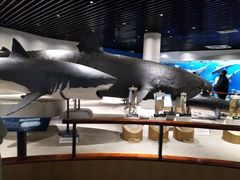 -音乐派KTV(盱眙皇剑国际店)