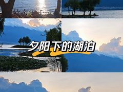 -洱海月湿地公园