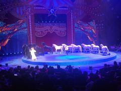 -珠海横琴长隆《卡卡虎奇遇记》