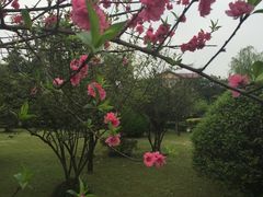 -天赐温泉