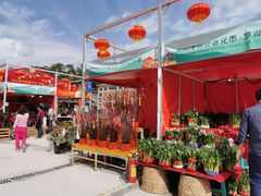 -深圳市罗湖体育馆