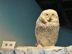 -陕西自然博物馆