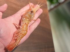 -枫千叶精致料理