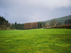 -武陵山森林公园