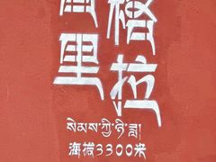 -布达拉宫