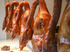 -壹只卤鹅·潮汕菜(莲塘店)