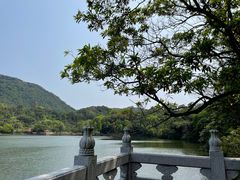 -深圳仙湖植物园