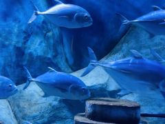 -上海玛雅海滩水公园