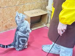 -和它·交个朋友·狗咖猫咖(爱琴海店)
