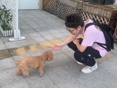 -农汤老店(顺联公园里店)