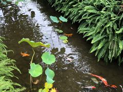 -泸州老窖景区