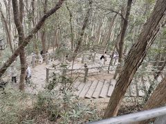-杭州西湖风景名胜区-三生石