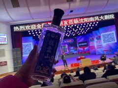 -南风大剧院莎梦二人转剧场