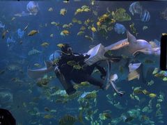 -太平洋海底世界