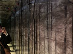 -杭州逸酒店(西湖武林店)