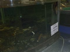 -大东方海鲜酒楼(小武基桥店)