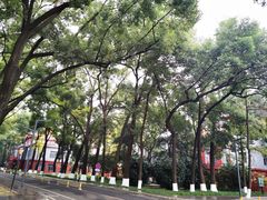 -四川大学(望江校区)