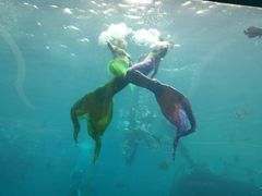 -瑞德姆美人鱼海底演艺主题餐厅(亚龙湾店)