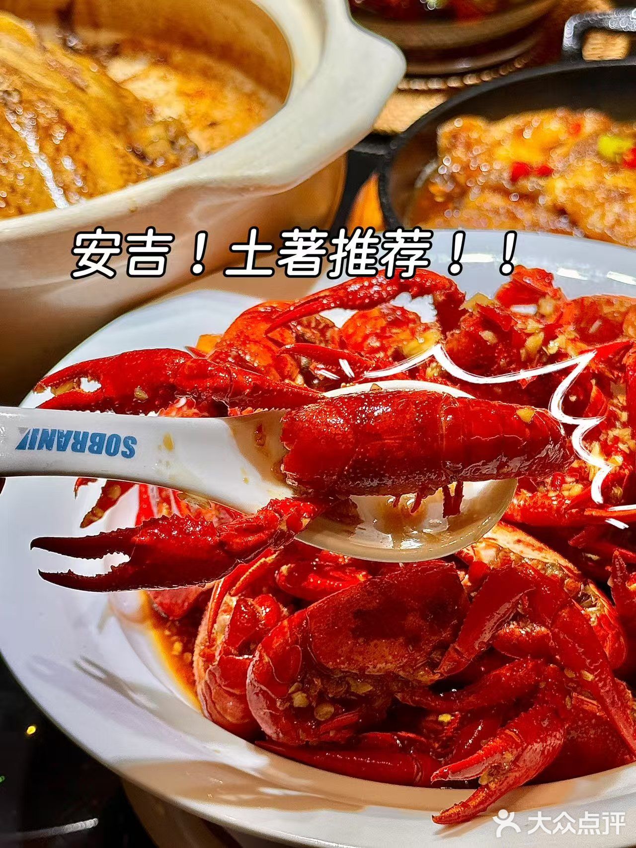 在安吉吃到了地道的土菜馆❗️