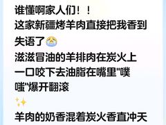 -新疆艾麦尔烧烤(丰台路口店)