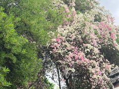 -深圳国际园林花卉博览园