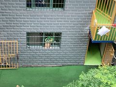 -水岸华庭幼儿园