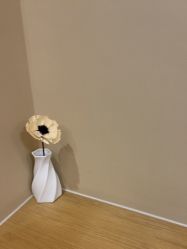 -杭州海亮医院 · 禾芸嘉医美中心