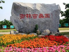 -御林古桑园