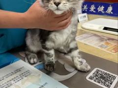 -艾贝尔宠物医院·狂犬免疫点(江山金象城店)