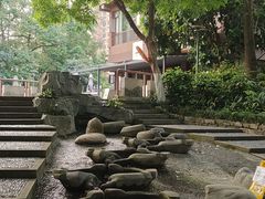 -成都市活水公园