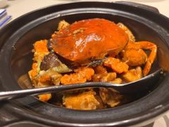 -皇朝会.经典传统粤菜(外滩店)