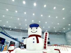 -哈尔滨热雪奇迹