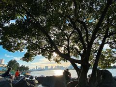 -台场海滨公园船码头
