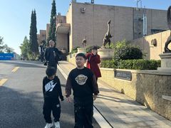 -自贡恐龙博物馆