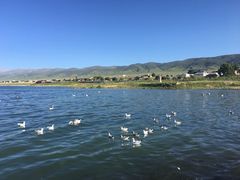-青海湖国家重点风景名胜区